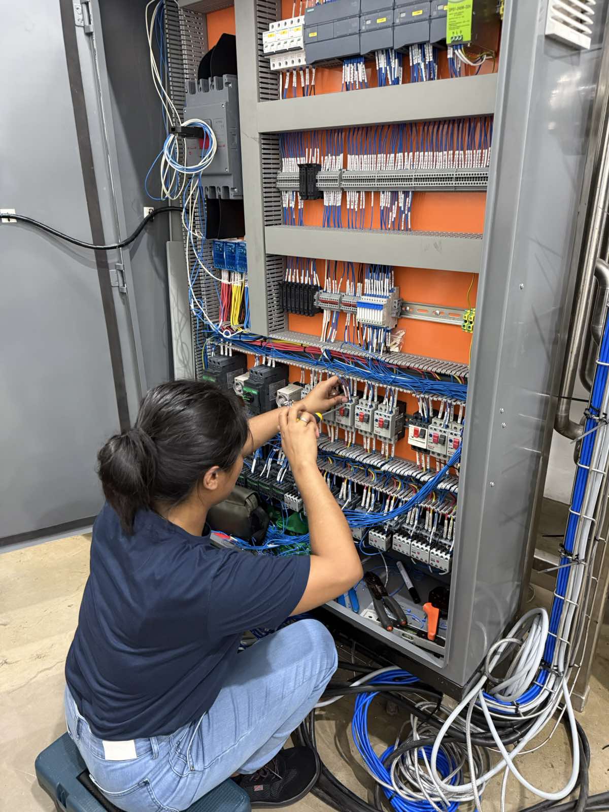 Success Story: Breaking Barriers in Automation: The Success Story of LalyhnClaire P. Kadusale